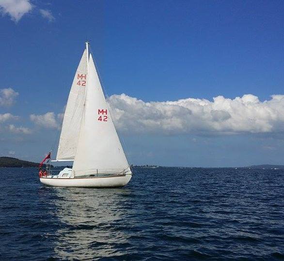 egret with full sails easter-001.jpg