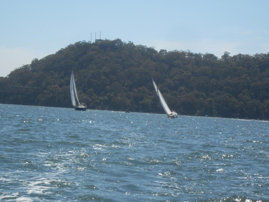 Our Top hats leaving bigger boats in their wakes.jpg