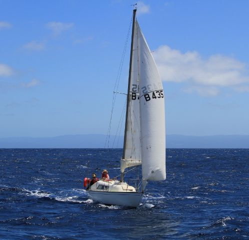 Bass Strait Jan 2012.jpg