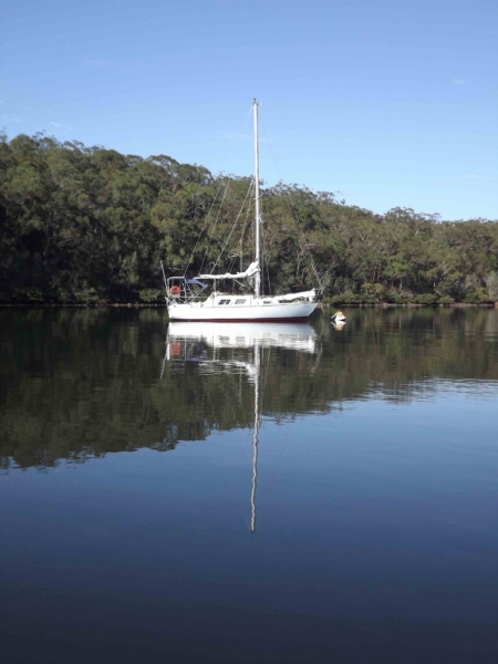 Seaka reflected in the waters of Fame Cove